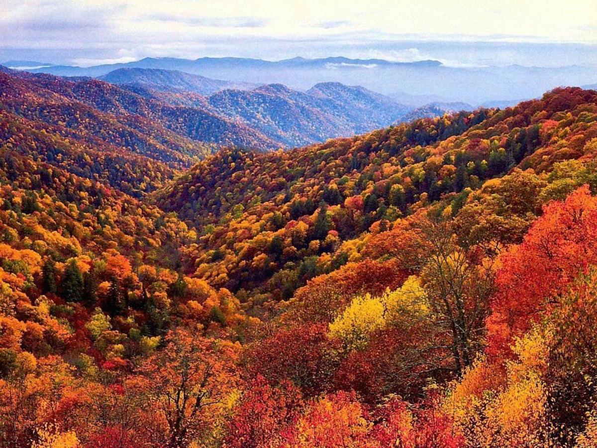 Sky High Views!!-Peak Mountaintop-Outdoor Pool-Close To Downtown-Private Balcony-Wifi-Cable ガトリンバーグ エクステリア 写真
