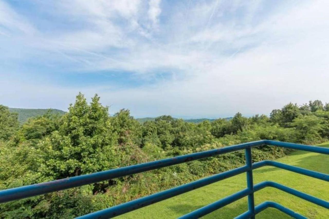 Sky High Views!!-Peak Mountaintop-Outdoor Pool-Close To Downtown-Private Balcony-Wifi-Cable ガトリンバーグ エクステリア 写真