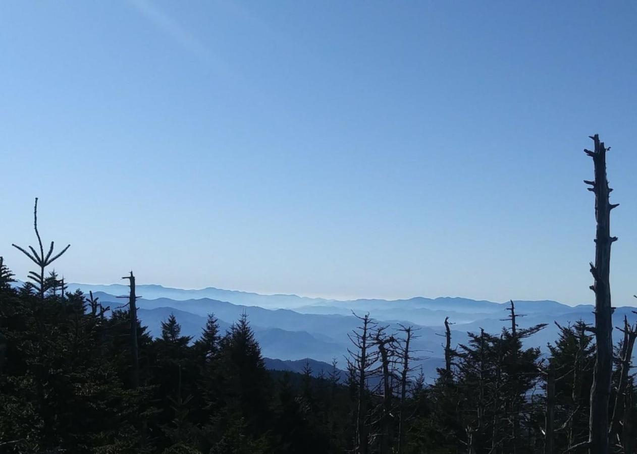 Sky High Views!!-Peak Mountaintop-Outdoor Pool-Close To Downtown-Private Balcony-Wifi-Cable ガトリンバーグ エクステリア 写真